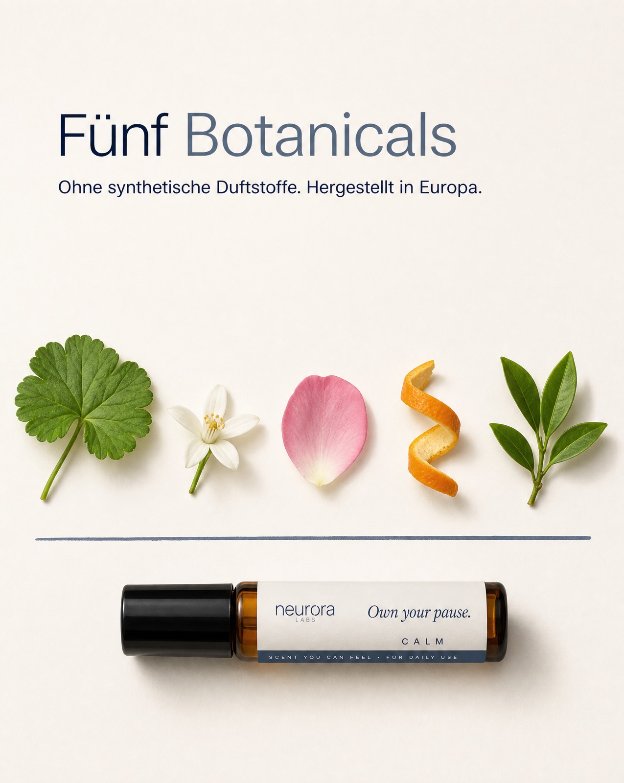 Herbarium row on laboratory paper